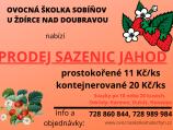 leták